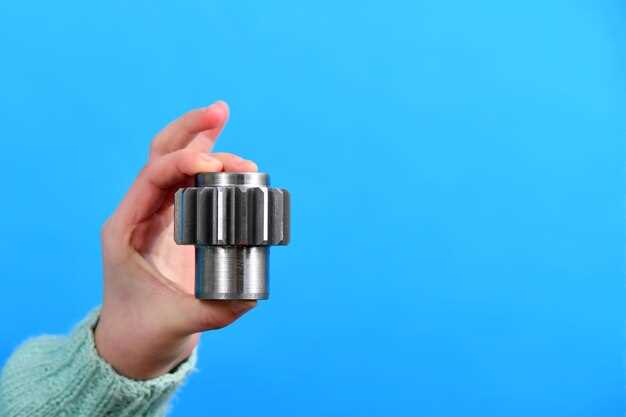 Когда и как проводить профилактическую проверку шпонки