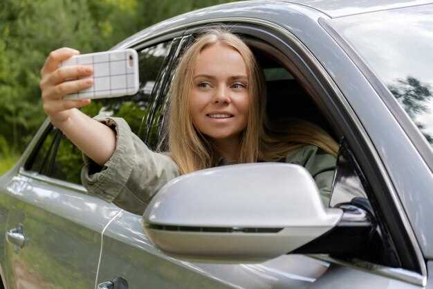 Как выбрать подходящий сайт или сервис для проверки по гос номеру