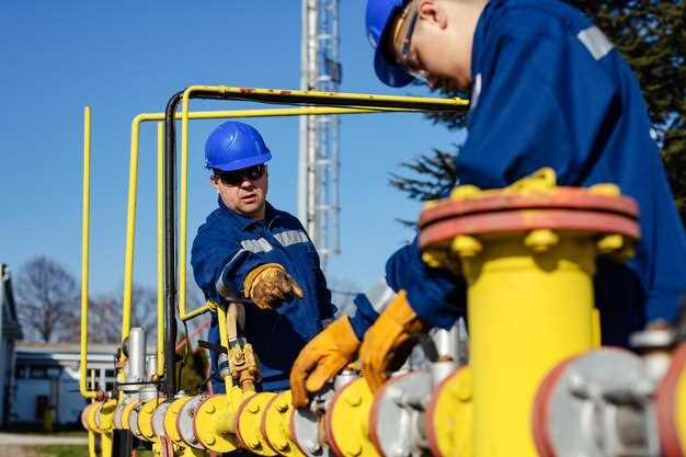 Последовательность проверки работы тросика после смазки