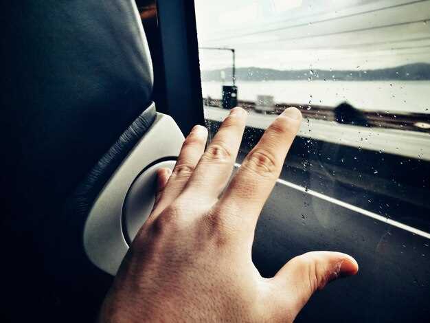 Инструкция по снятию и подключению разъема обогрева лобового стекла