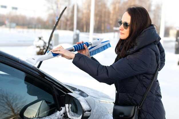 Как определить подходящие дворники для Луаз: параметры и советы