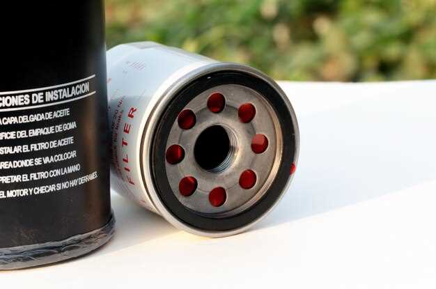 Советы по выбору топлива и режимам вождения для продления срока службы системы