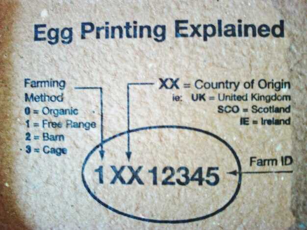 Обзор мест расположения шильдика на Лифан Х60