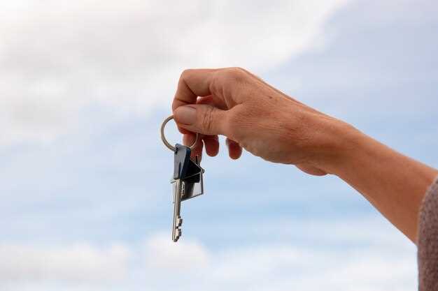 Попытка открыть дверь с помощью специальных инструментов для автооткрытия