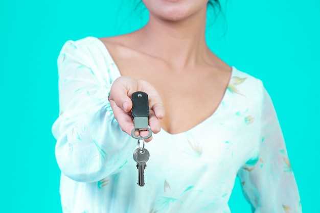 Обеспечение доступа к двери и зеркало заднего вида