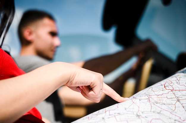 Очистка и смазка узлов регулировки