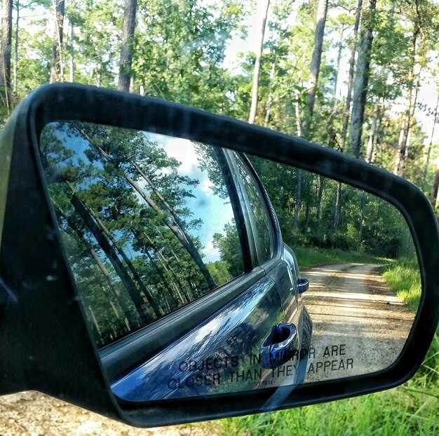 Какие модели зеркал подходят для Нивы и как выбрать правильные