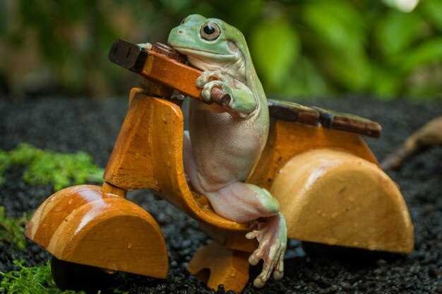 Инструменты и материалы для работы