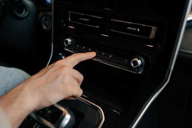 Как скачать анимационные файлы с надежных источников