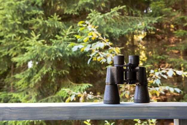 Установка корпуса сабвуфера в выбранное место