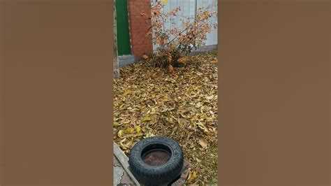 Уборка из труднодоступных мест