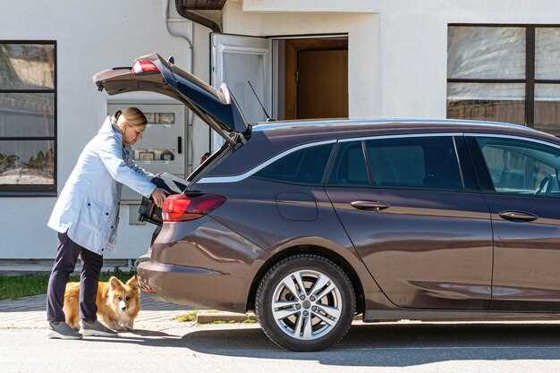 Настройка режима работы заднего дворника