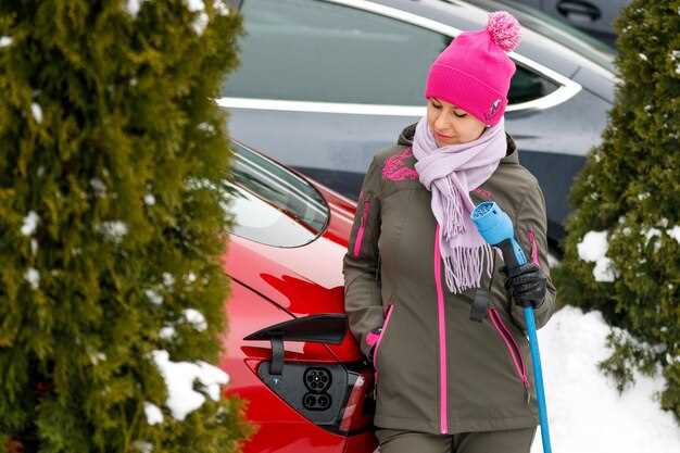 Подъем автомобиля и снятие штатных щитков