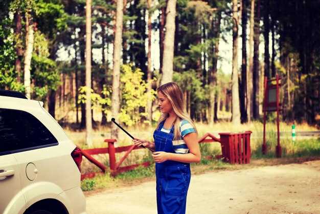 Правильное положение и натяжка шкворня при монтажных работах