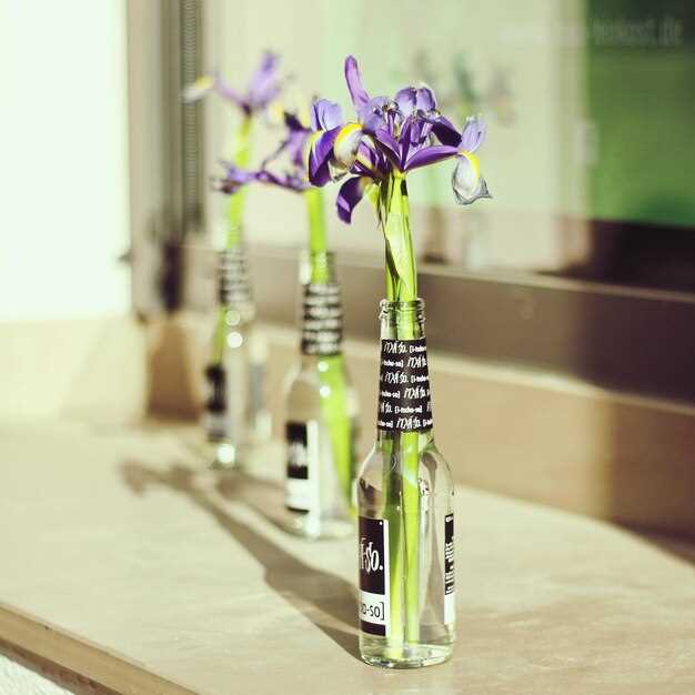 Проверка состояния свечей зажигания и их замена при износе