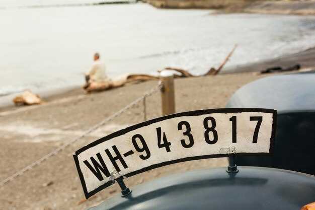 История присвоения кода 96 автодностям в этом регионе