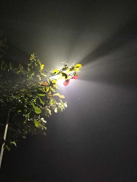 Как узнать точный тип цоколя лампы ближнего света на Калина 1?