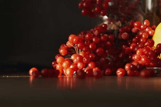 Процесс производства и технология ферментации