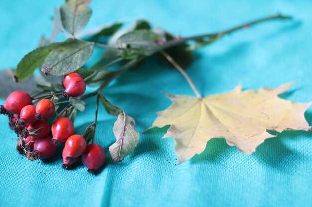 Обеспечение безопасности при работе с колесами