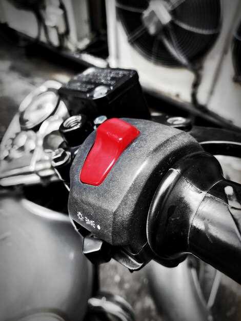 Процедуры обслуживания и настройка карбюратора Рейсер Пантера 300