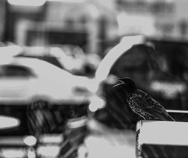 Топовая версия: максимальный набор функций и технологий