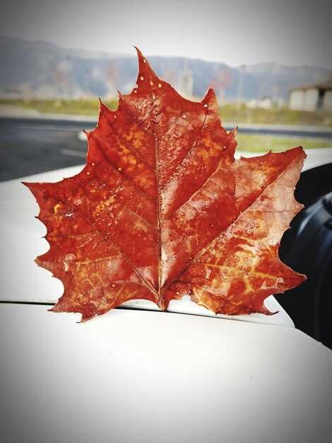 Системы безопасности и ассистенты водителя в разных версиях