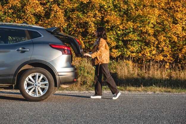 Комфортные дополнения: климат-контроль, кожаная отделка, электроприводы