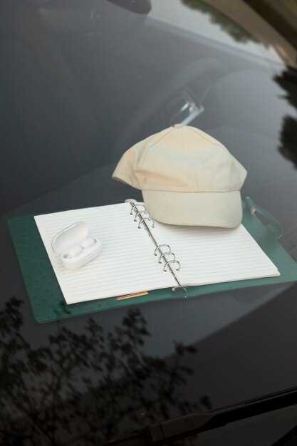 Расхождения мнений и характерные проблемы