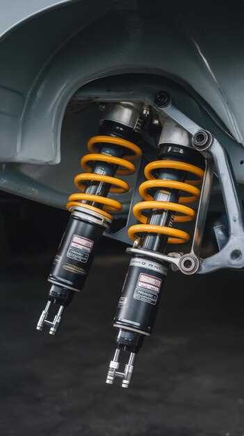 Премиум-сегмент: основные модели и их особенности