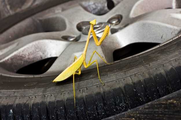 Удаление грязи и коррозии с ключевых узлов