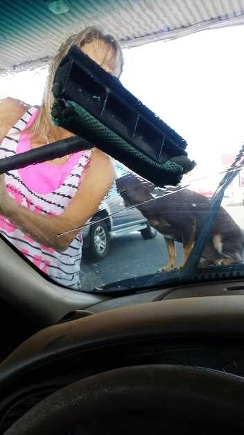 Как определить подходящий тип щеток для Шкода Октавия А7