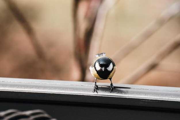 Отзывы владельцев и реальные тесты: что говорят о разных моделях