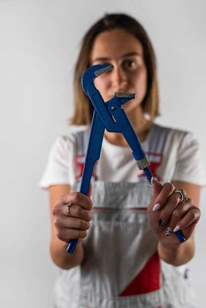 Проверка уровня и состояния гидравлической жидкости