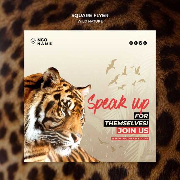 Обзор и основные детали фильма 