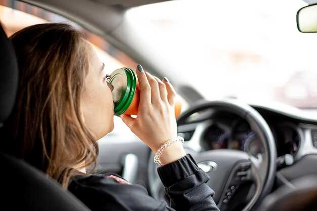 Принцип работы насоса вторичного воздуха и его устройство