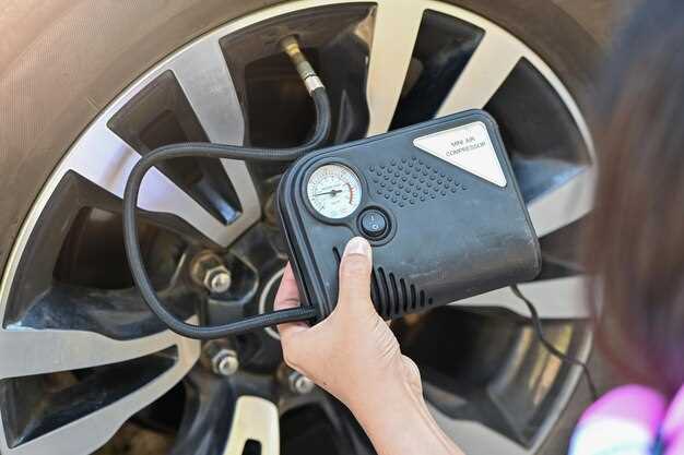 Назначение и функции насоса вторичного воздуха