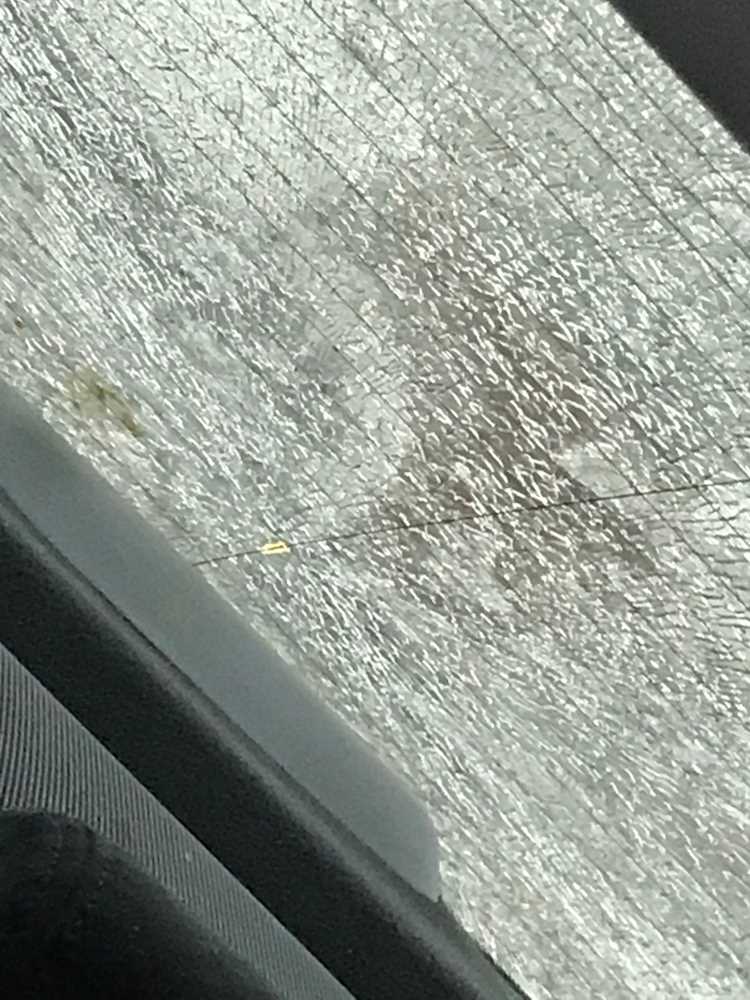 Оценка воздействия внешних факторов на систему