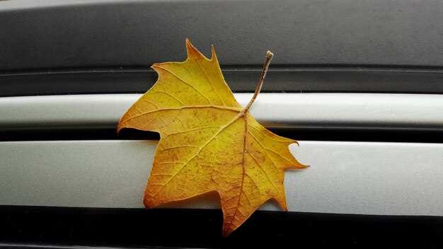 Обновление или сброс настроек системы иммобилайзера через спецоборудование