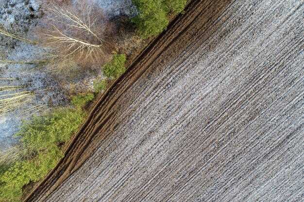 Классические цветовые решения и их влияние на восприятие