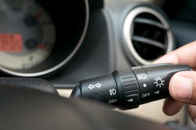 Расположение элементов системы: нагревательные маты и проводка