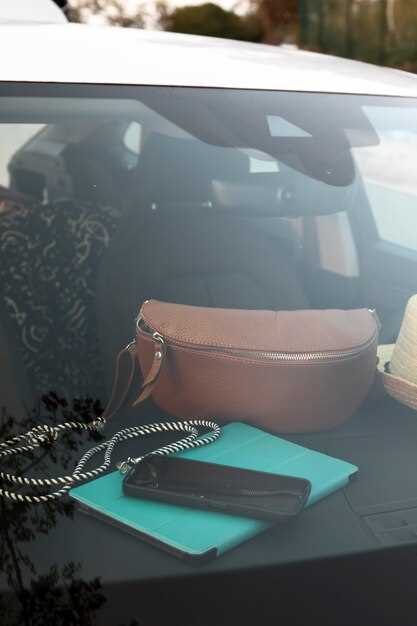 Особенности самостоятельной установки и преимущества профессиональной работы