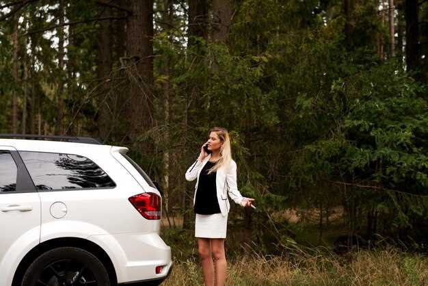 Комплектации и дополнительные опции для мегаполиса