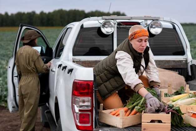 Грузоподъемность и крепления для перевозки тяжелых грузов