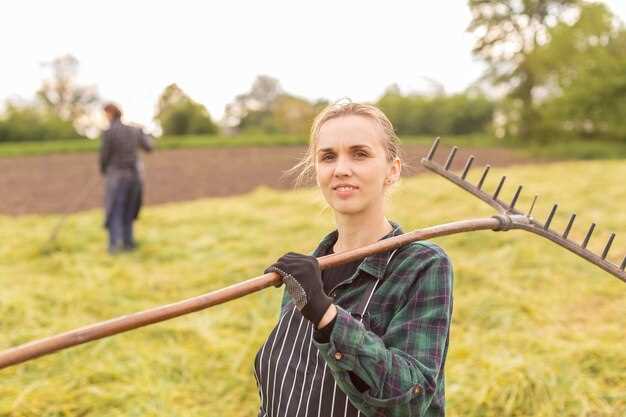 Практические советы по эксплуатации и обслуживанию мотоблоков Ока и Нева