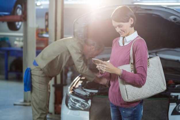 Подготовка к проверке: необходимые данные об автомобиле