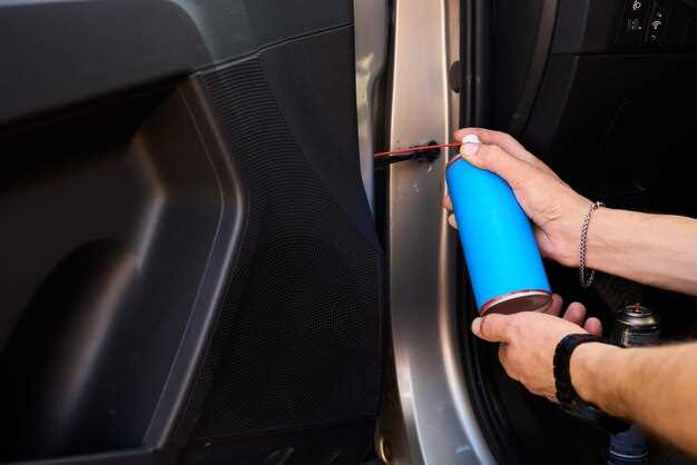 Уход за пыльником концевика двери Веста: профилактика и продление срока службы