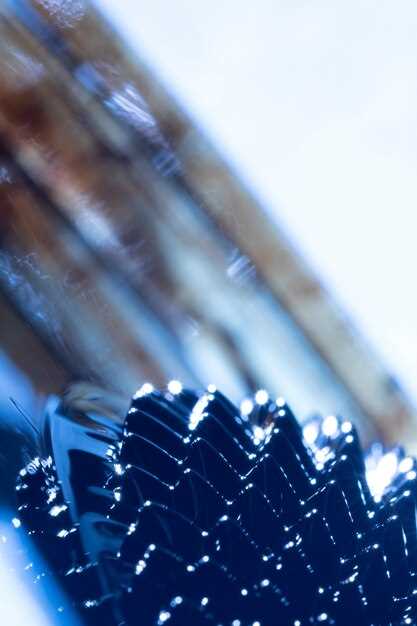 Где и как выбрать подходящую заднюю плиту для КамАЗ