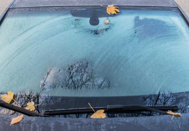 Проверка наличия давления в системе стеклоомывателя