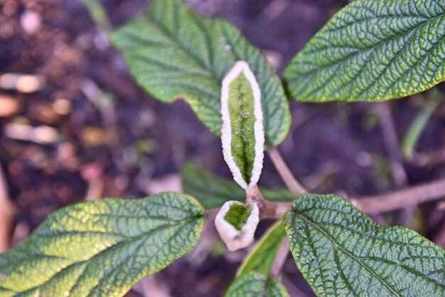 Износ свечей и высоковольтных проводов