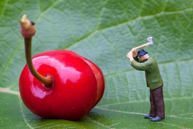 Диагностика системы зажигания и свечей